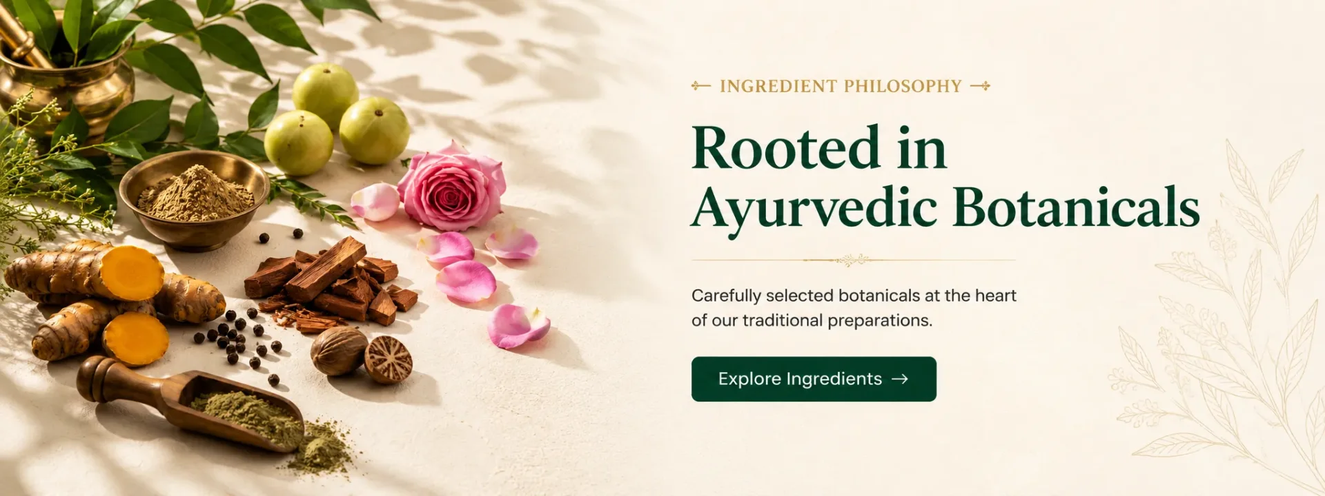 Carefully selected botanicals at the heart of our traditional preparations.